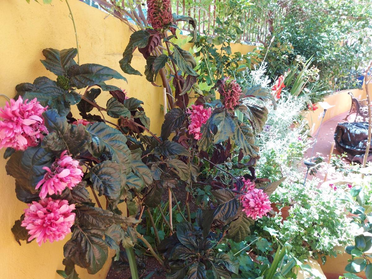 Casa Maestro Lelo - Acogedora Casa Rural Canaria Con Patios Y Jardines De Flores Лас Палмас де Гран Канария Екстериор снимка