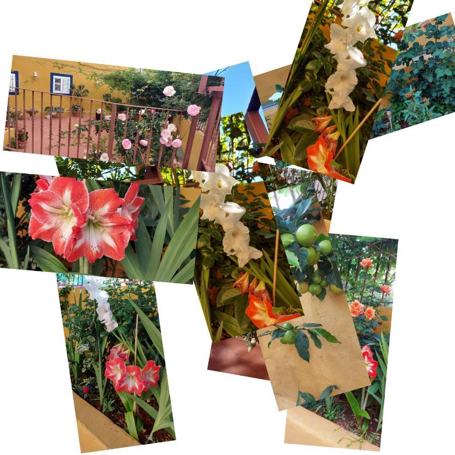 Casa Maestro Lelo - Acogedora Casa Rural Canaria Con Patios Y Jardines De Flores Лас Палмас де Гран Канария Екстериор снимка