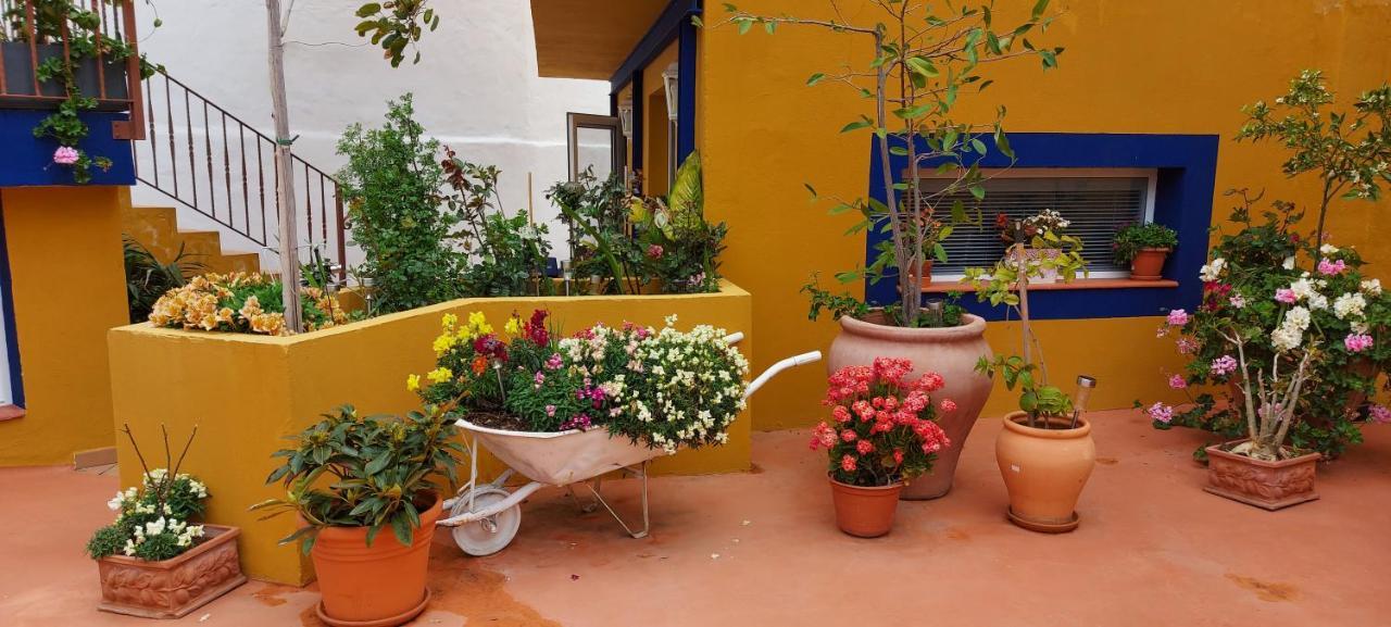 Casa Maestro Lelo - Acogedora Casa Rural Canaria Con Patios Y Jardines De Flores Лас Палмас де Гран Канария Екстериор снимка
