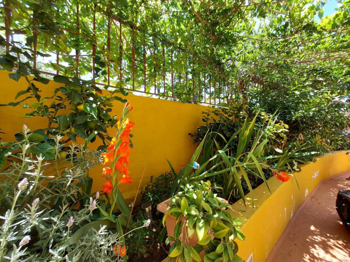 Casa Maestro Lelo - Acogedora Casa Rural Canaria Con Patios Y Jardines De Flores Лас Палмас де Гран Канария Екстериор снимка